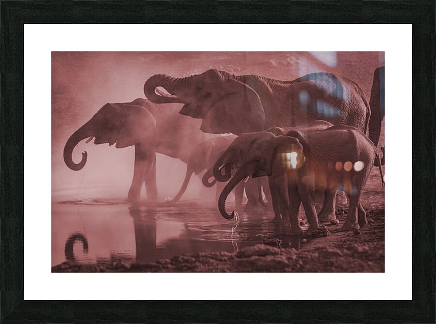 2402069 :: Framed Print