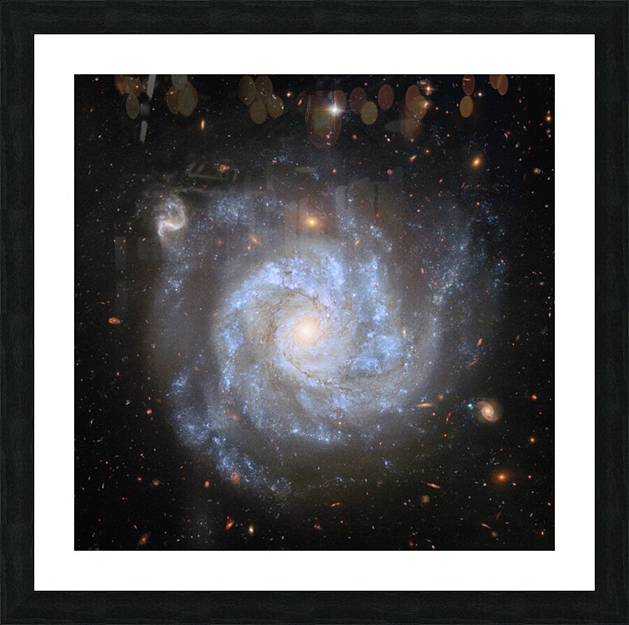2423833 :: Framed Print