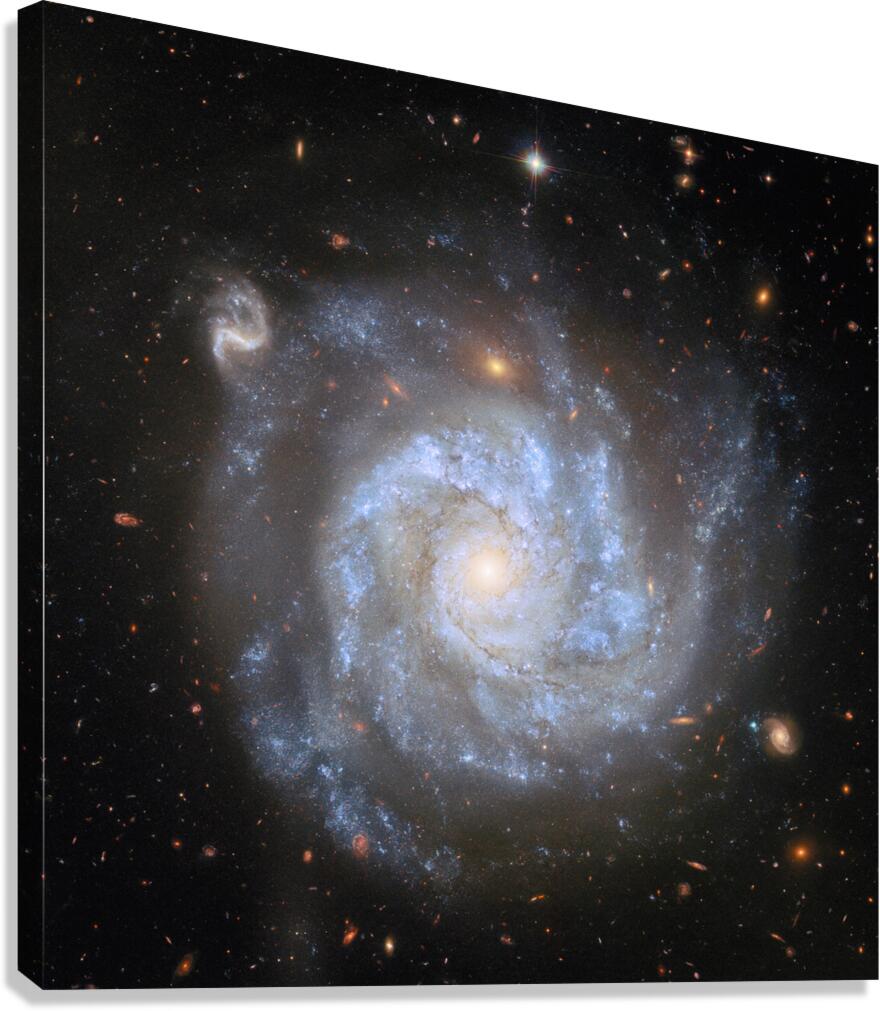 2423833 :: Giclée Stretched Canvas Print