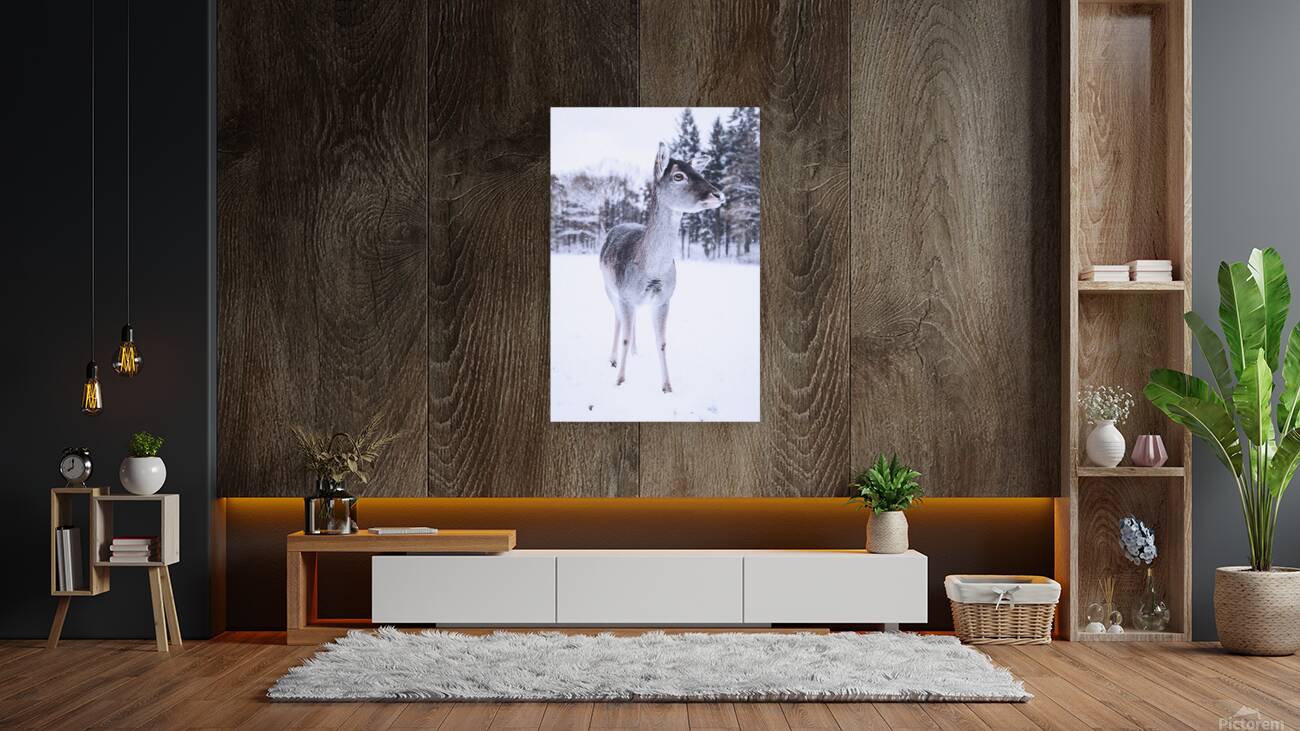 2402056 :: Giclée Stretched Canvas Print
