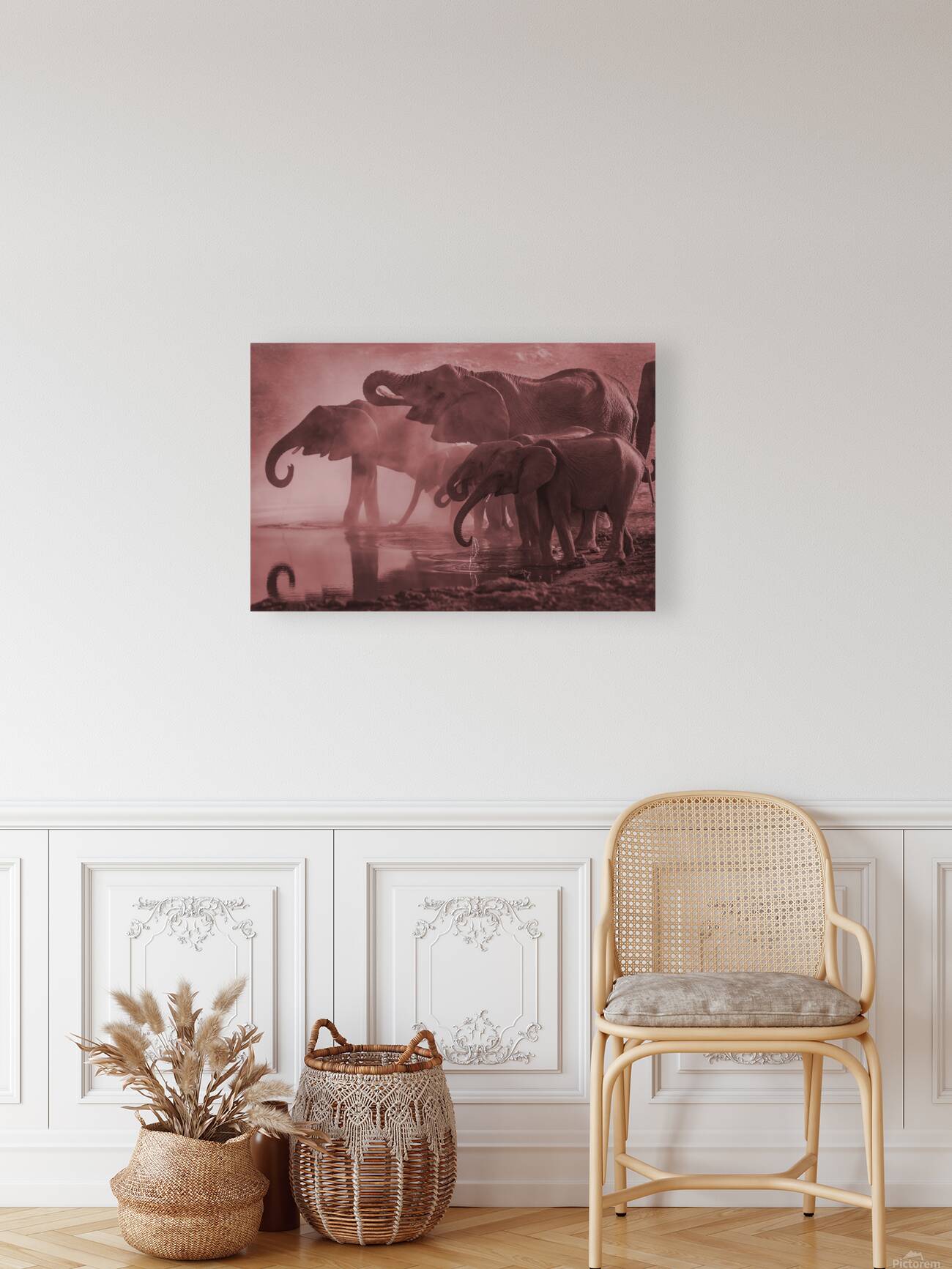 2402069 :: Giclée Stretched Canvas Print