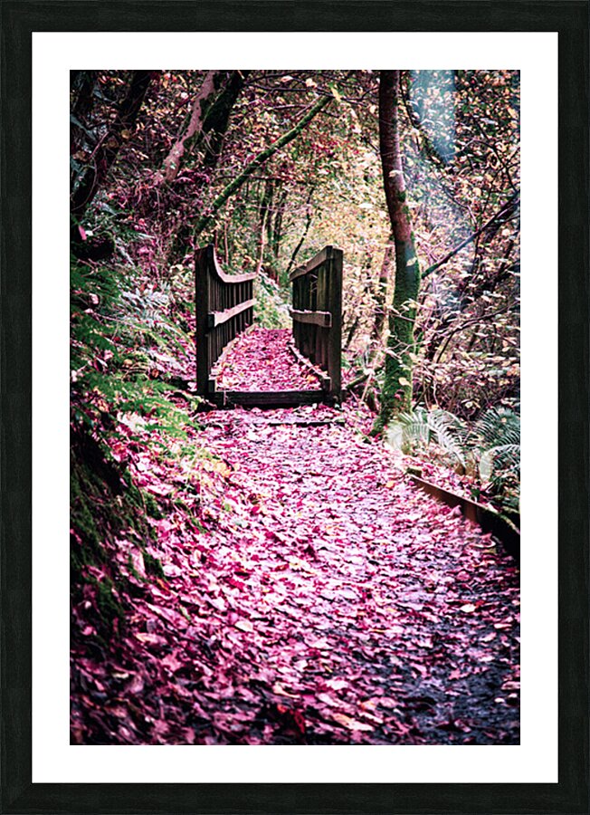 2402057 :: Framed Print