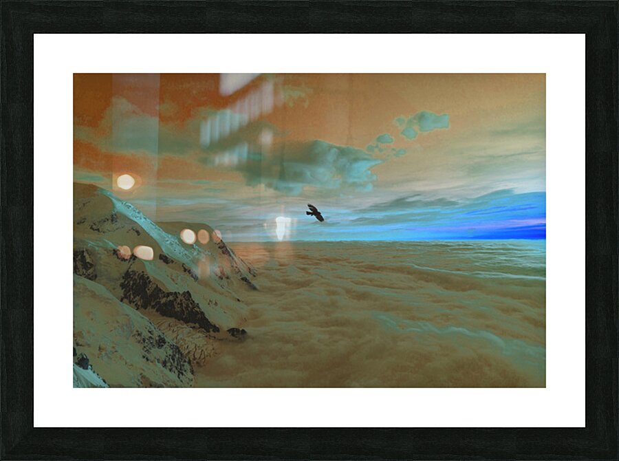 2402062 :: Framed Print