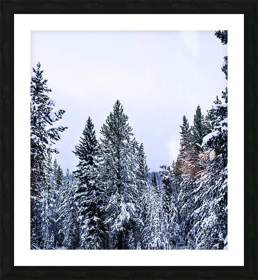 2402068 :: Framed Print