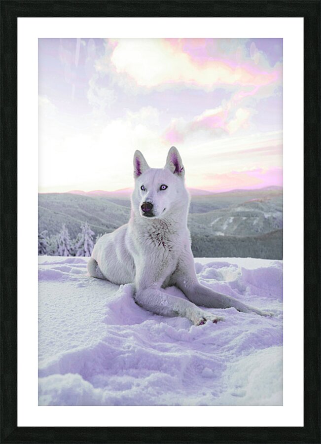2402074 :: Framed Print
