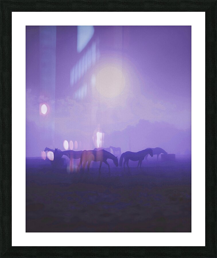 2402080 :: Framed Print