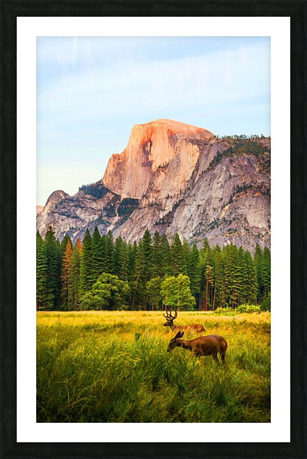 2402128 :: Framed Print