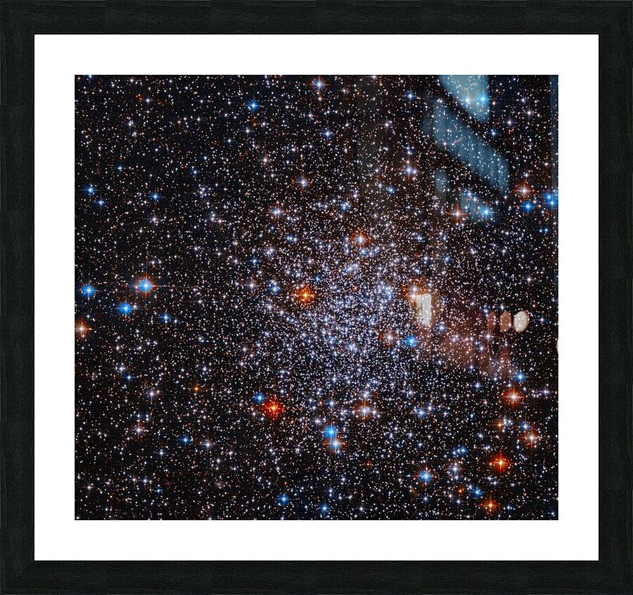 2423834 :: Framed Print