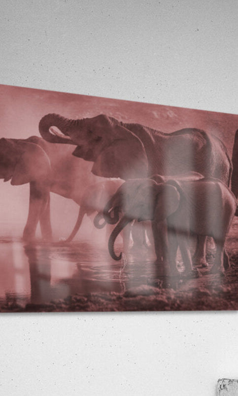 2402069 :: Acrylic Print
