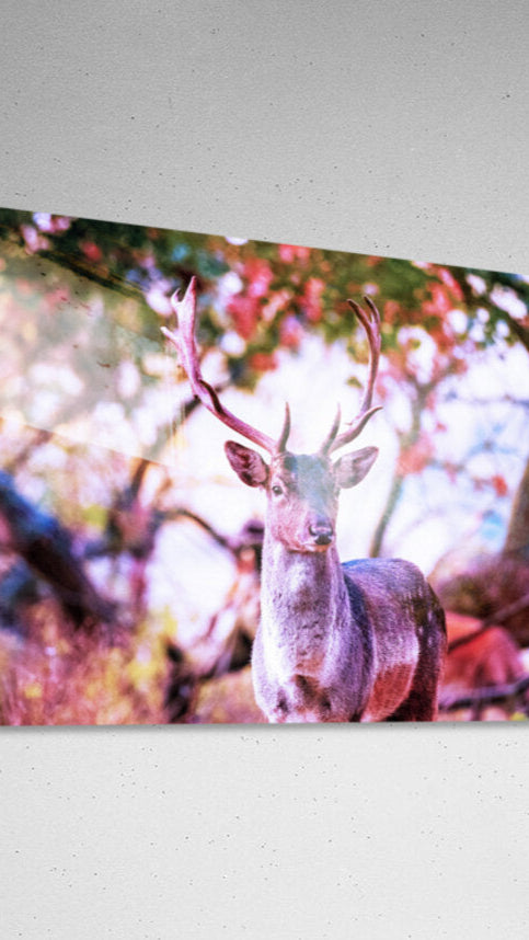 2402093 :: Acrylic Print