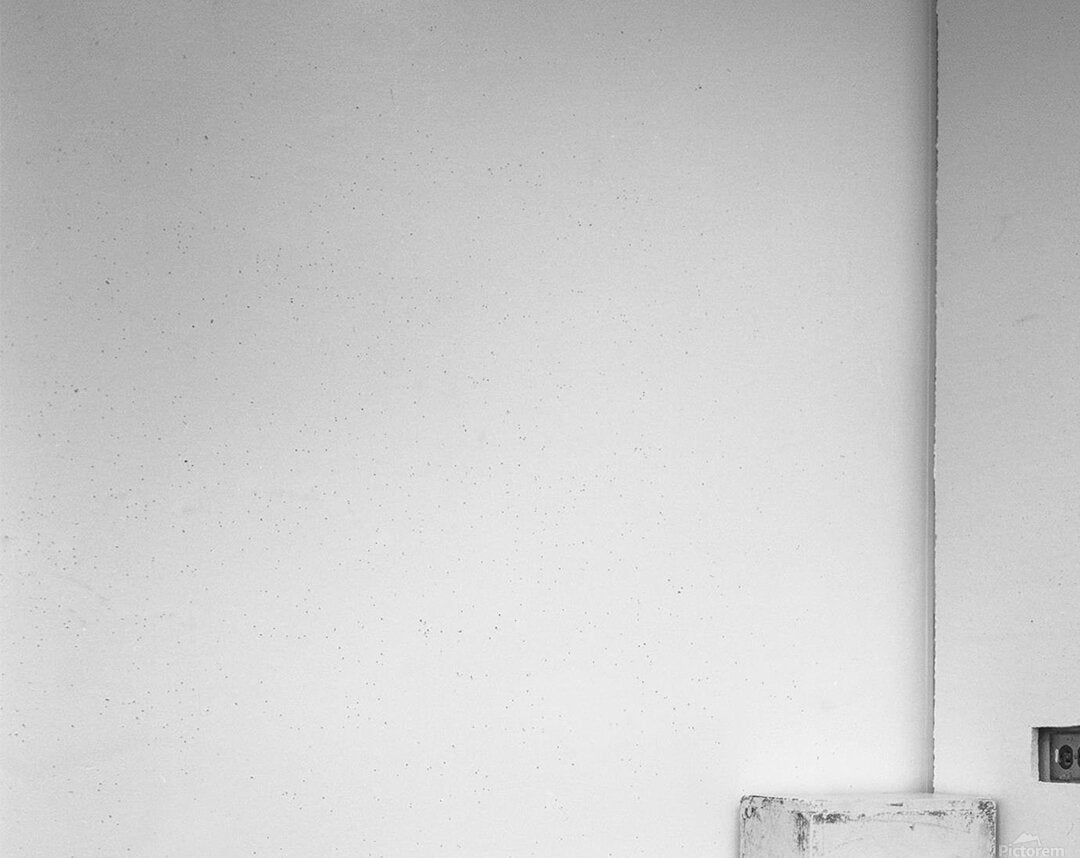 2402125 :: Acrylic Print