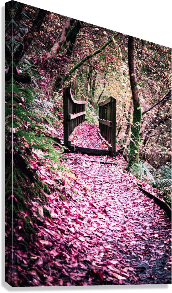 2402057 :: Giclée Stretched Canvas Print