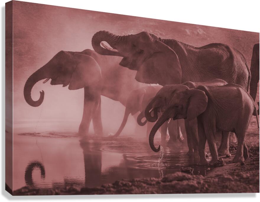 2402069 :: Giclée Stretched Canvas Print
