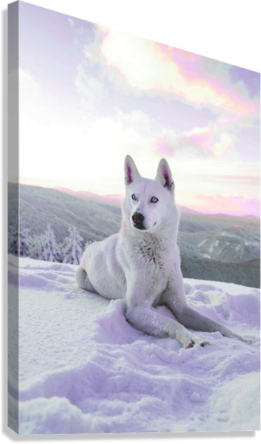 2402074 :: Giclée Stretched Canvas Print