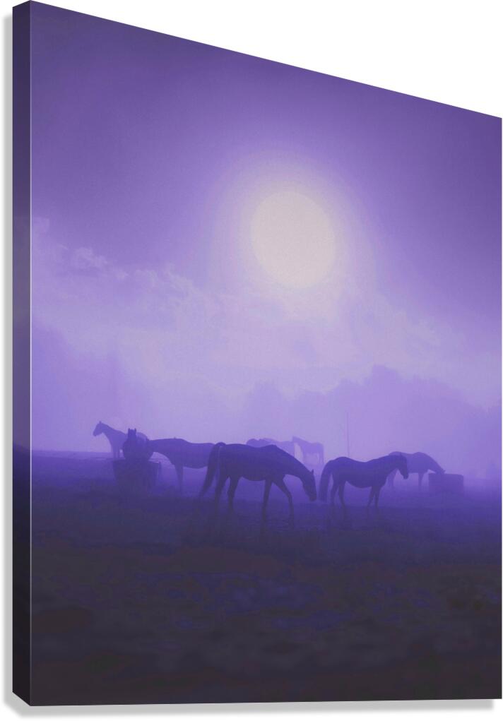 2402080 :: Giclée Stretched Canvas Print