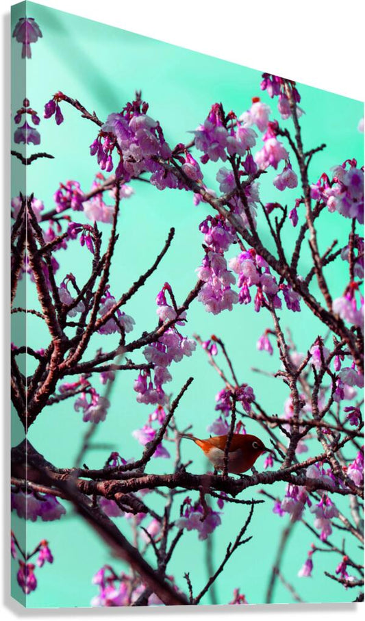 2402098 :: Giclée Stretched Canvas Print