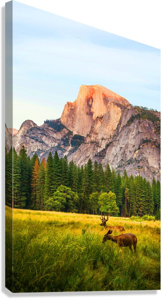 2402128 :: Giclée Stretched Canvas Print
