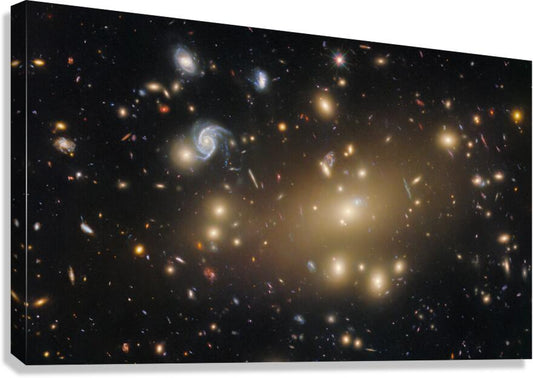 2423827 :: Giclée Stretched Canvas Print