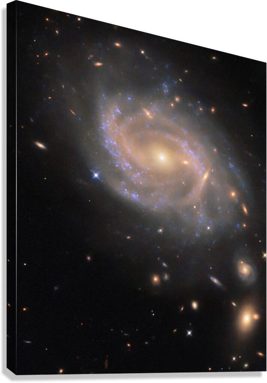 2423832 :: Giclée Stretched Canvas Print