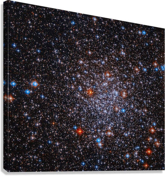 2423834 :: Giclée Stretched Canvas Print