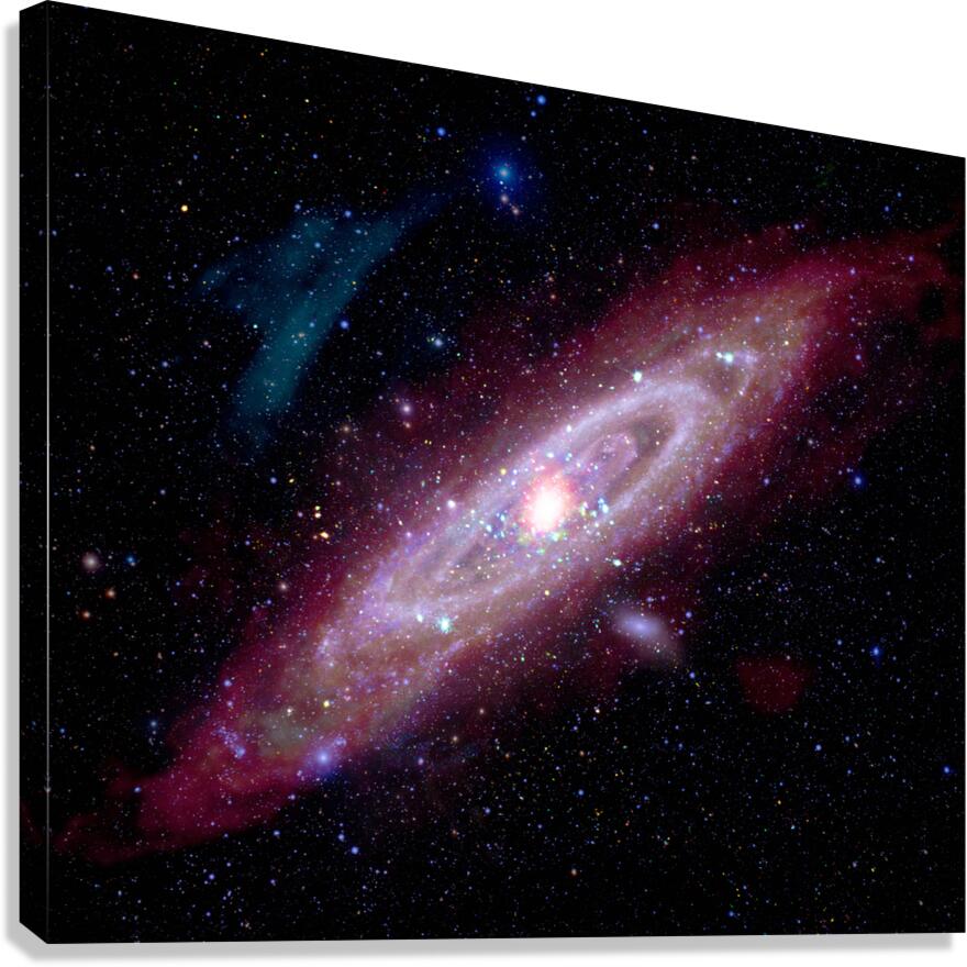 2423876 :: Giclée Stretched Canvas Print