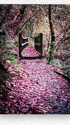 2402057 :: Brushed Metal Print