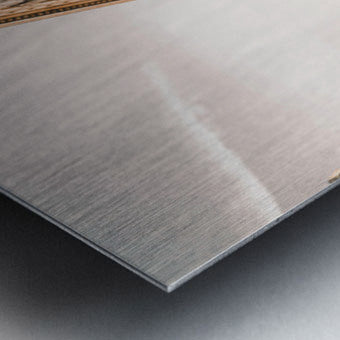 2402125 :: Brushed Metal Print