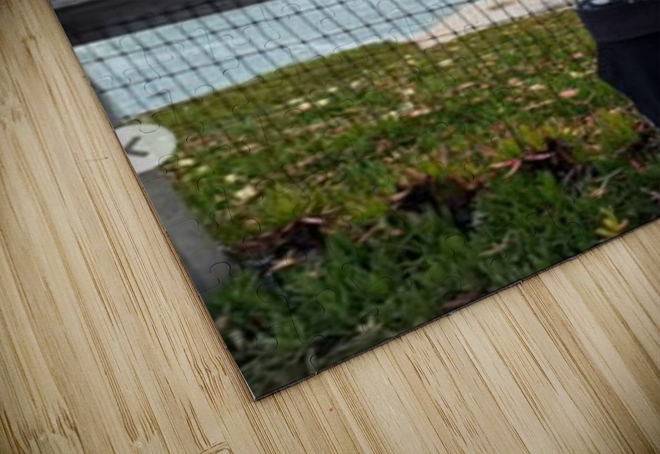 2419814 :: Puzzle Print