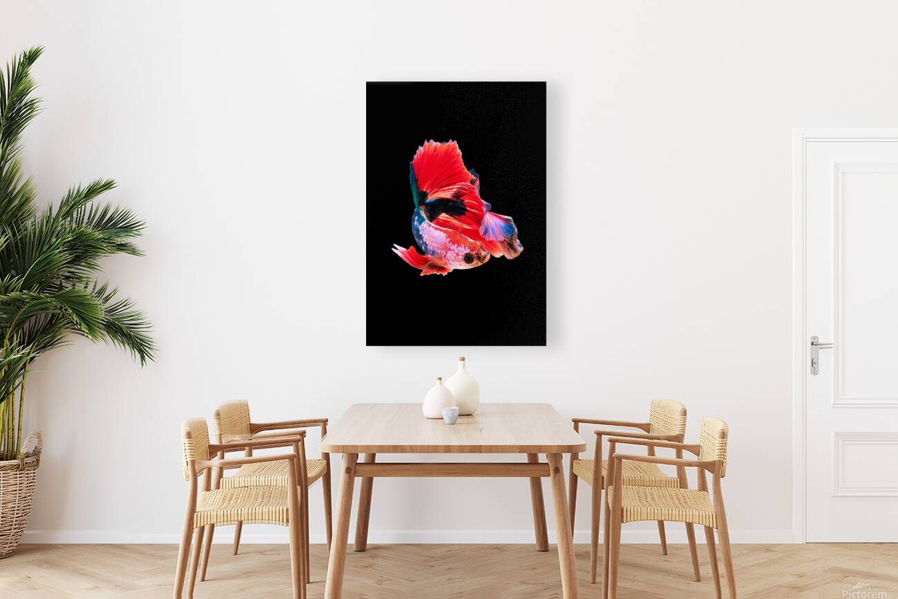 2402055 :: Giclée Stretched Canvas Print