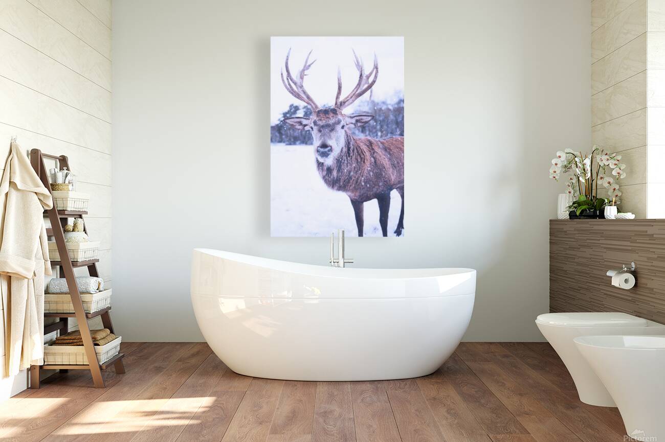 2402061 :: Giclée Stretched Canvas Print