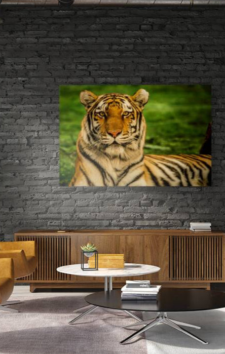 2402064 :: Giclée Stretched Canvas Print
