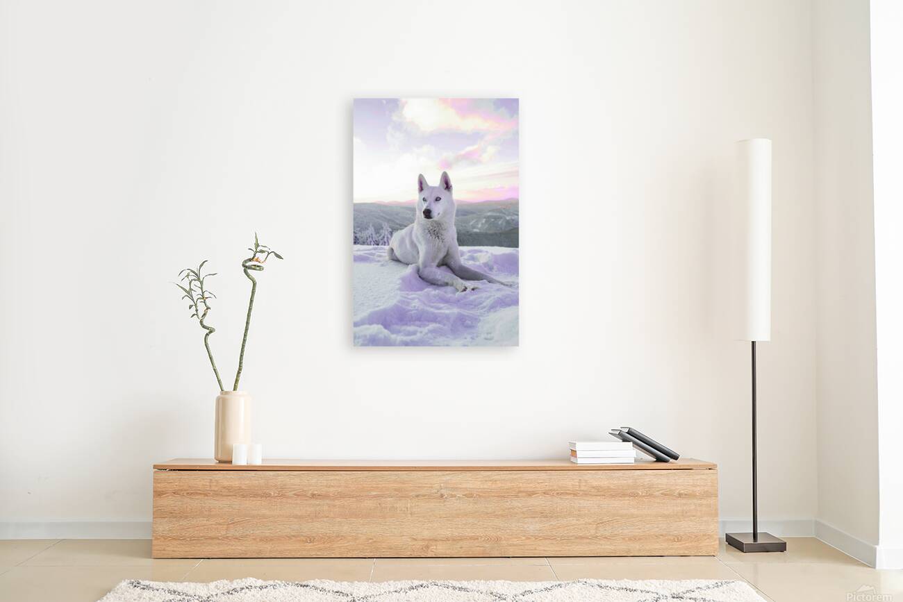 2402074 :: Giclée Stretched Canvas Print