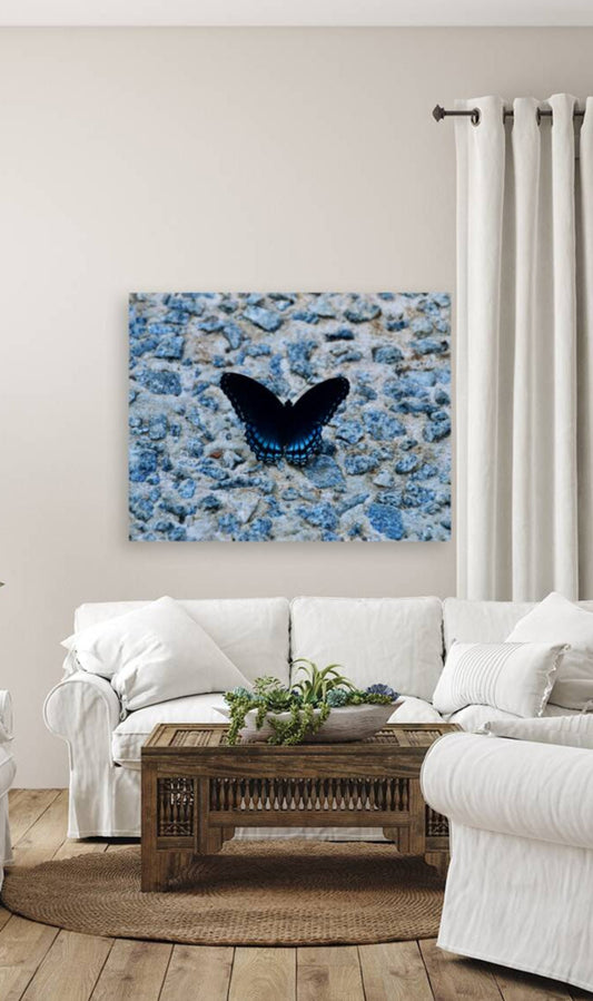 2402079 :: Giclée Stretched Canvas Print