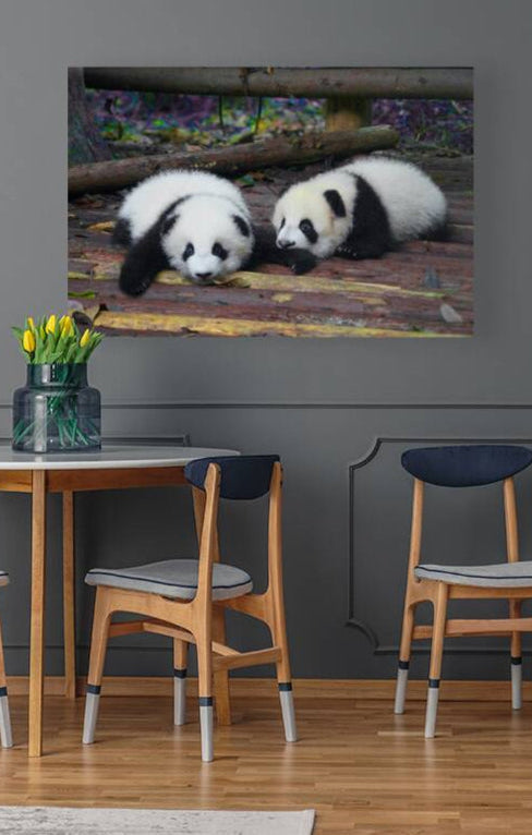 2402083 :: Giclée Stretched Canvas Print