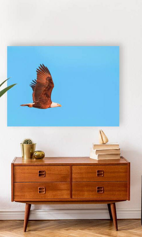 2402088 :: Giclée Stretched Canvas Print