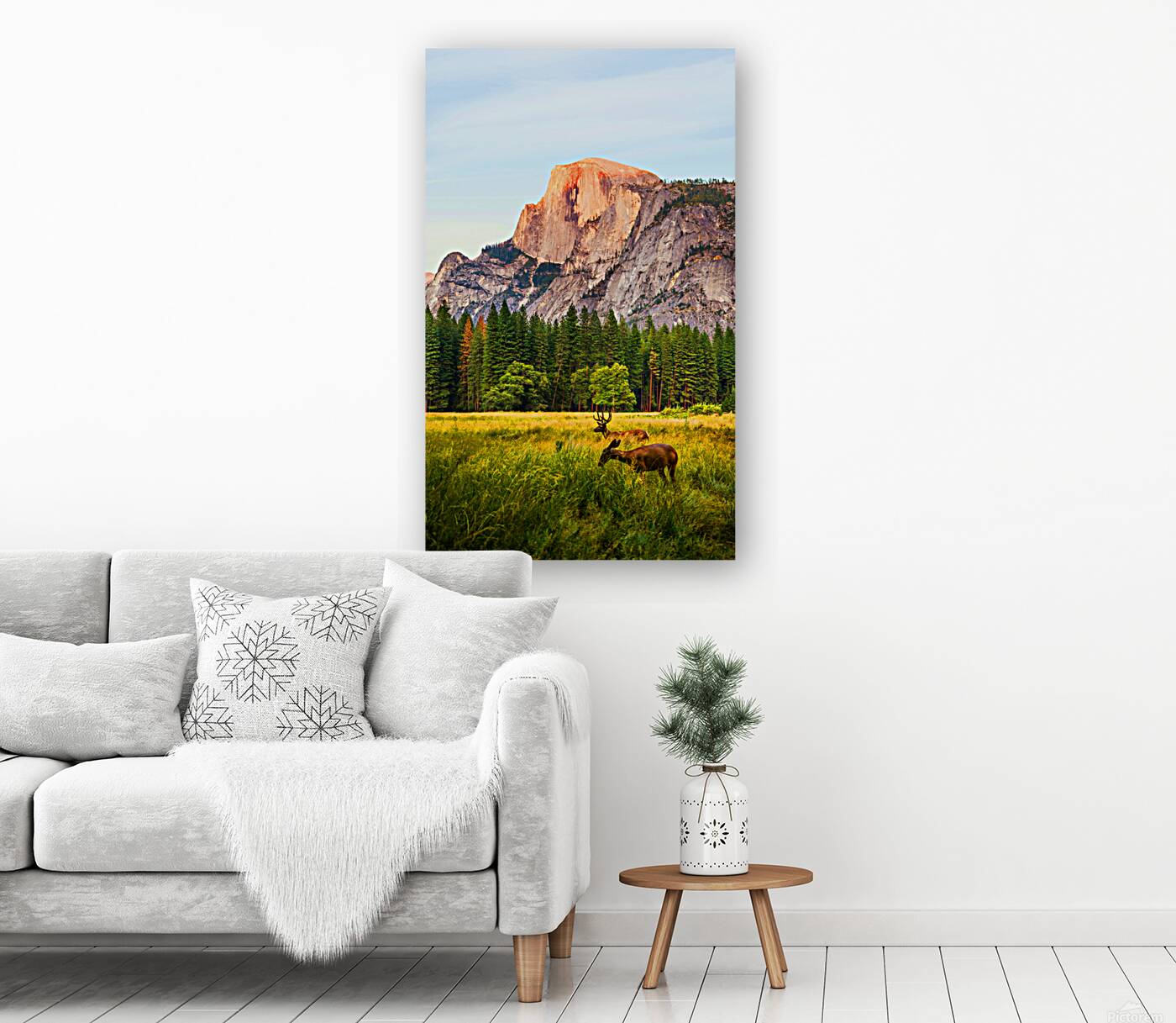 2402128 :: Giclée Stretched Canvas Print