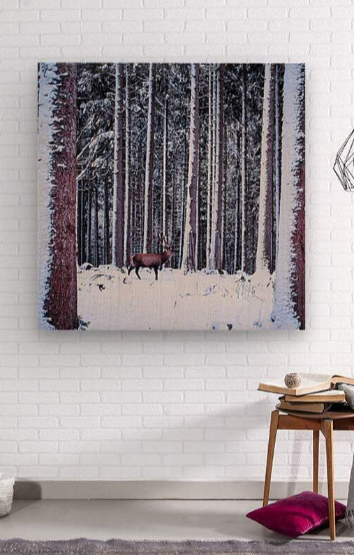 2402054 :: Wood Print
