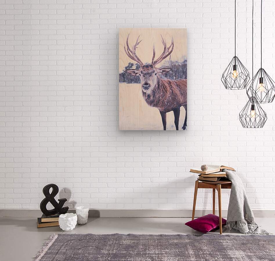 2402061 :: Wood Print