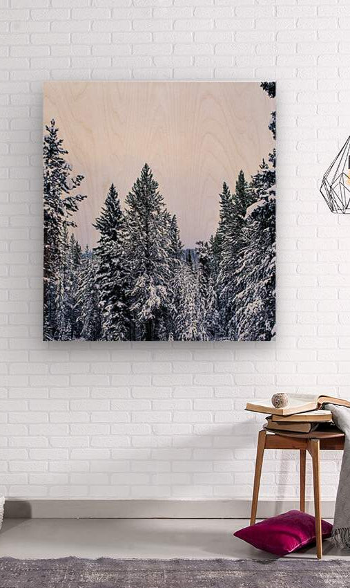 2402068 :: Wood Print