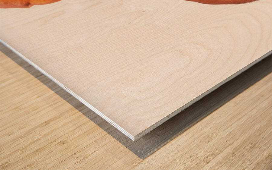 2402067 :: Wood Print